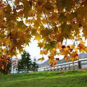 Furano Hotel Ryokan Furano